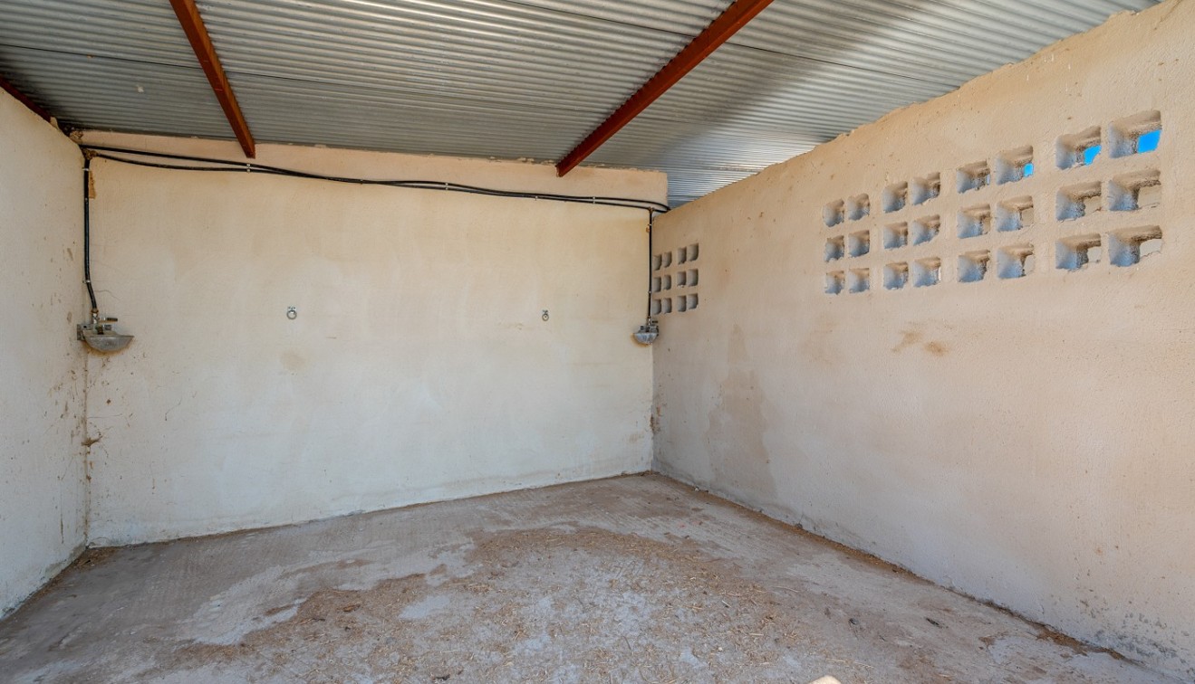 Sale - Country estate - Elche/Elx