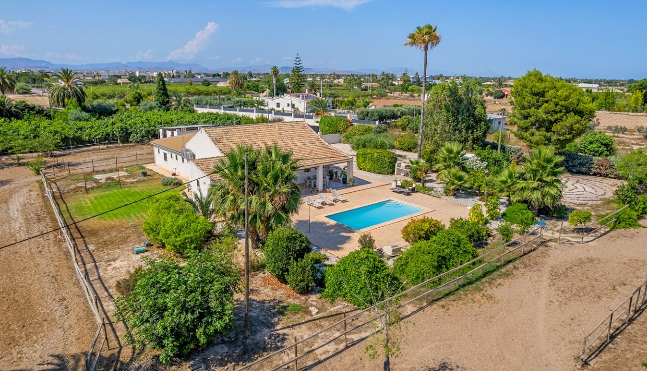 Sale - Country estate - Elche/Elx