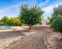 Sale - Country estate - Sax