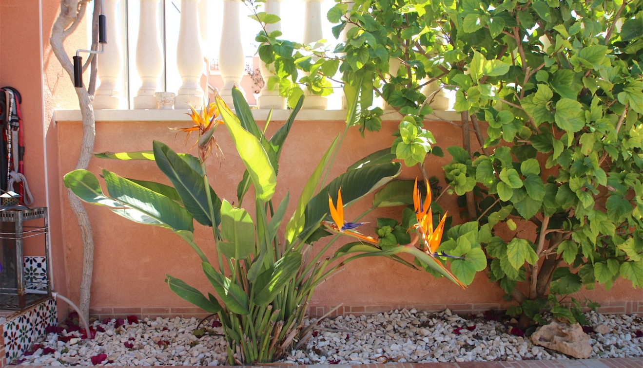Sale - Quad house - Los Montesinos