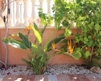 Sale - Quad house - Los Montesinos