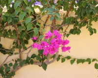 Sale - Townhouse - Ciudad Quesada - Rojales