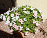 Sale - Townhouse - Ciudad Quesada - Rojales