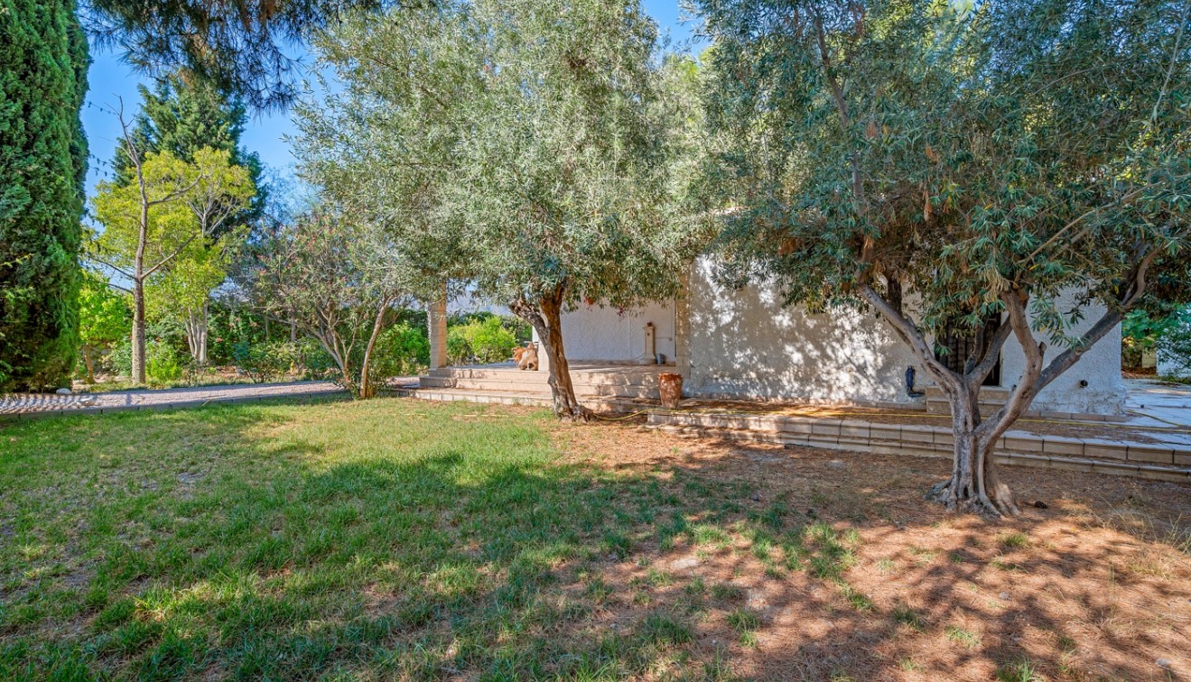 Sale - Villa - Benferri