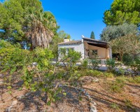 Sale - Villa - Benferri