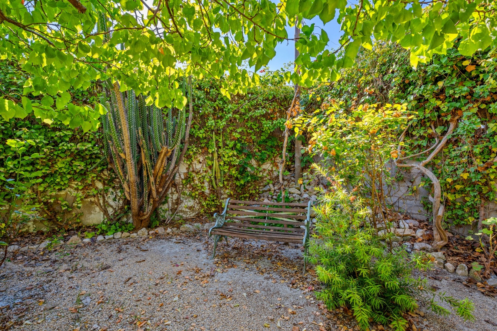 Sale - Villa - Benferri