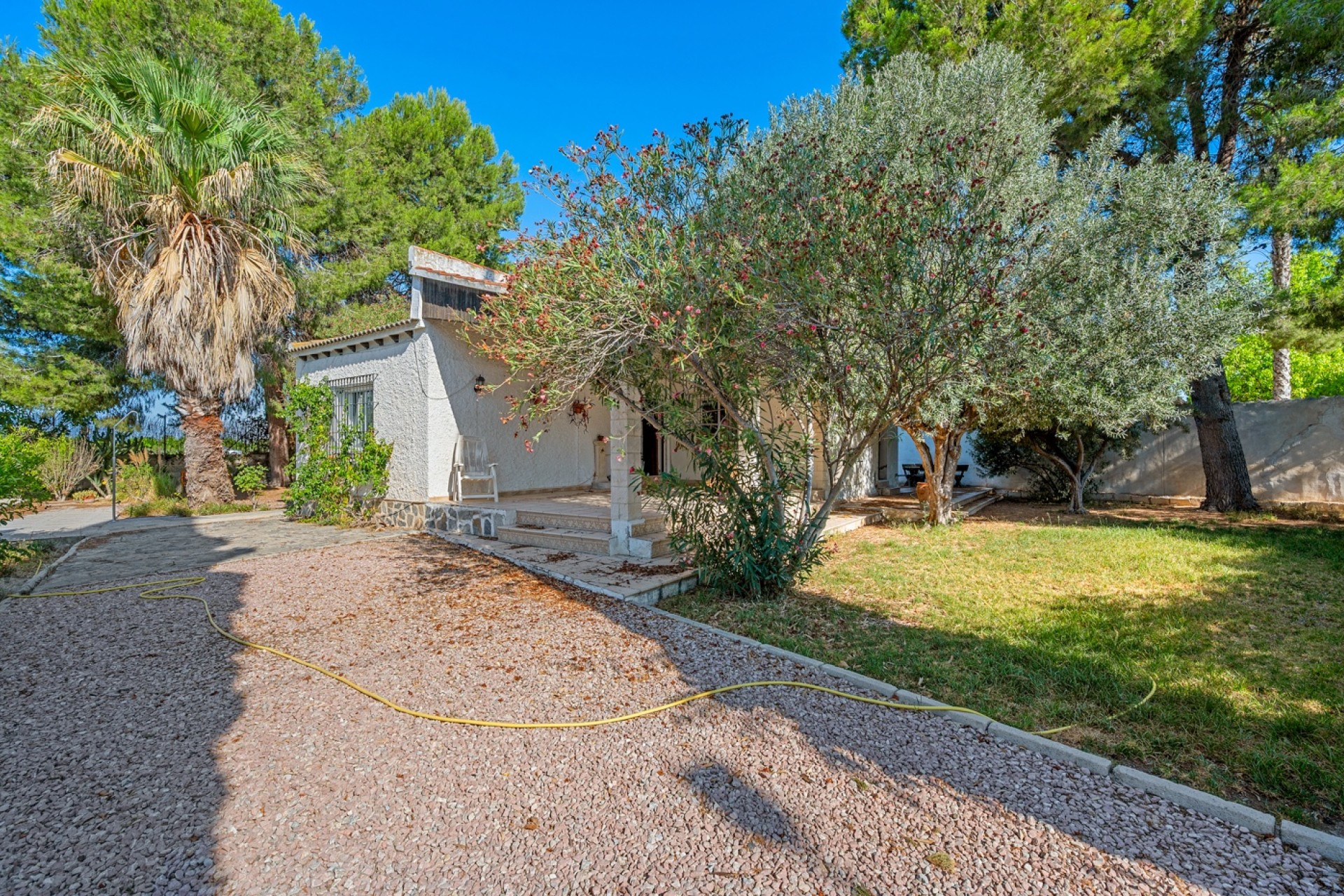 Sale - Villa - Benferri