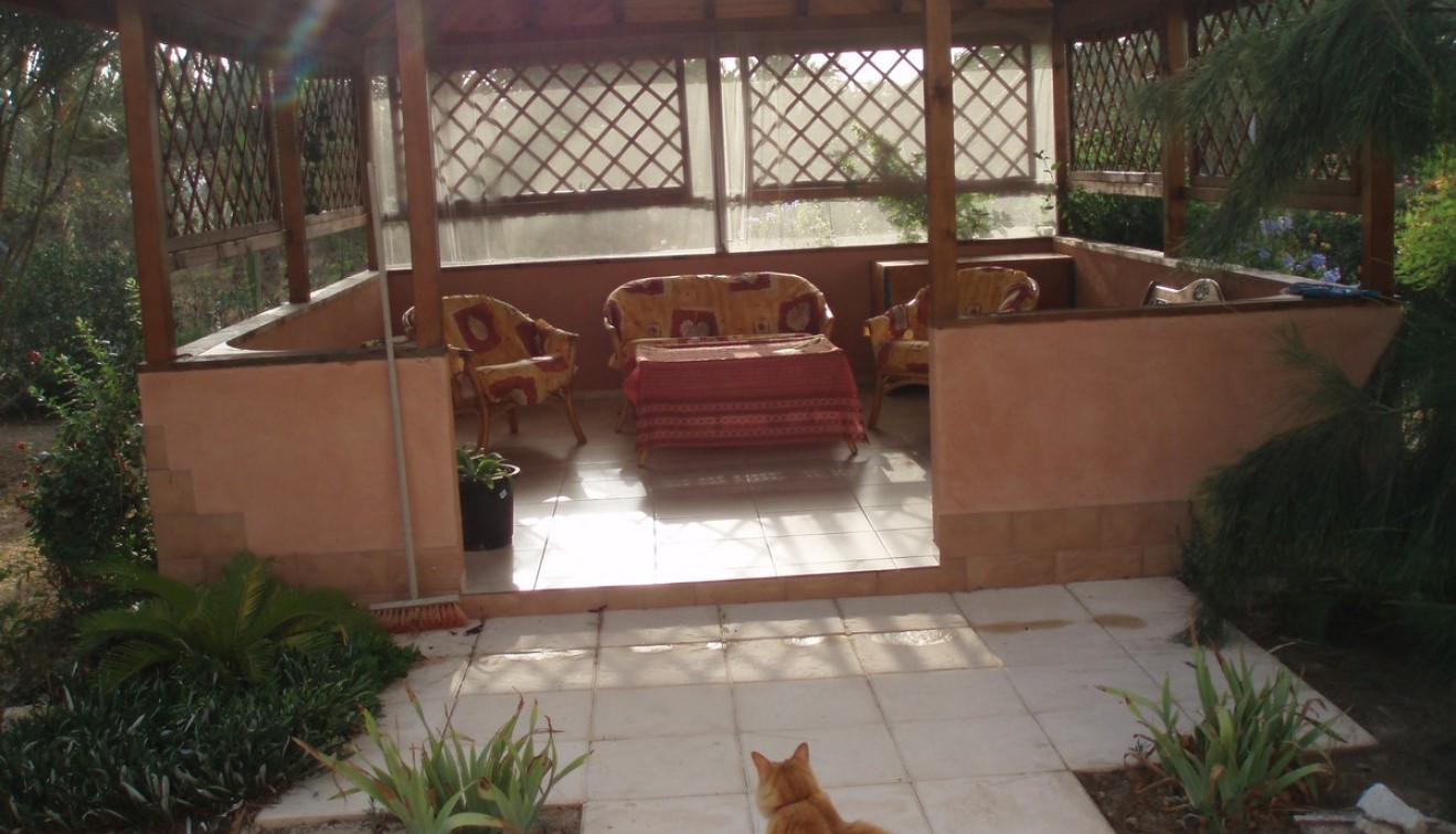 Sale - Villa - Catral