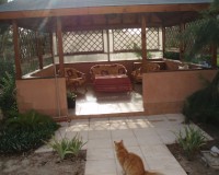 Sale - Villa - Catral