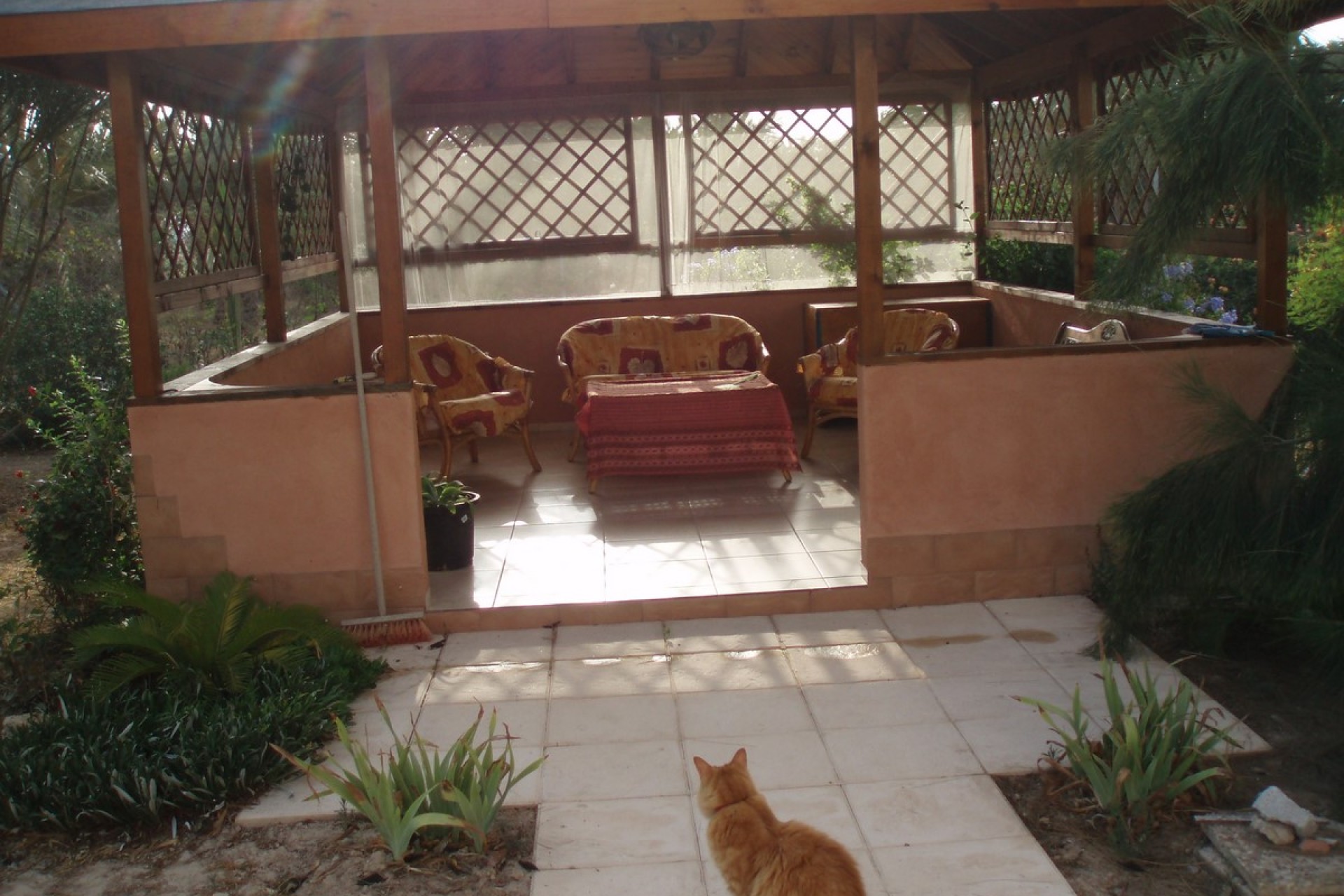 Sale - Villa - Catral