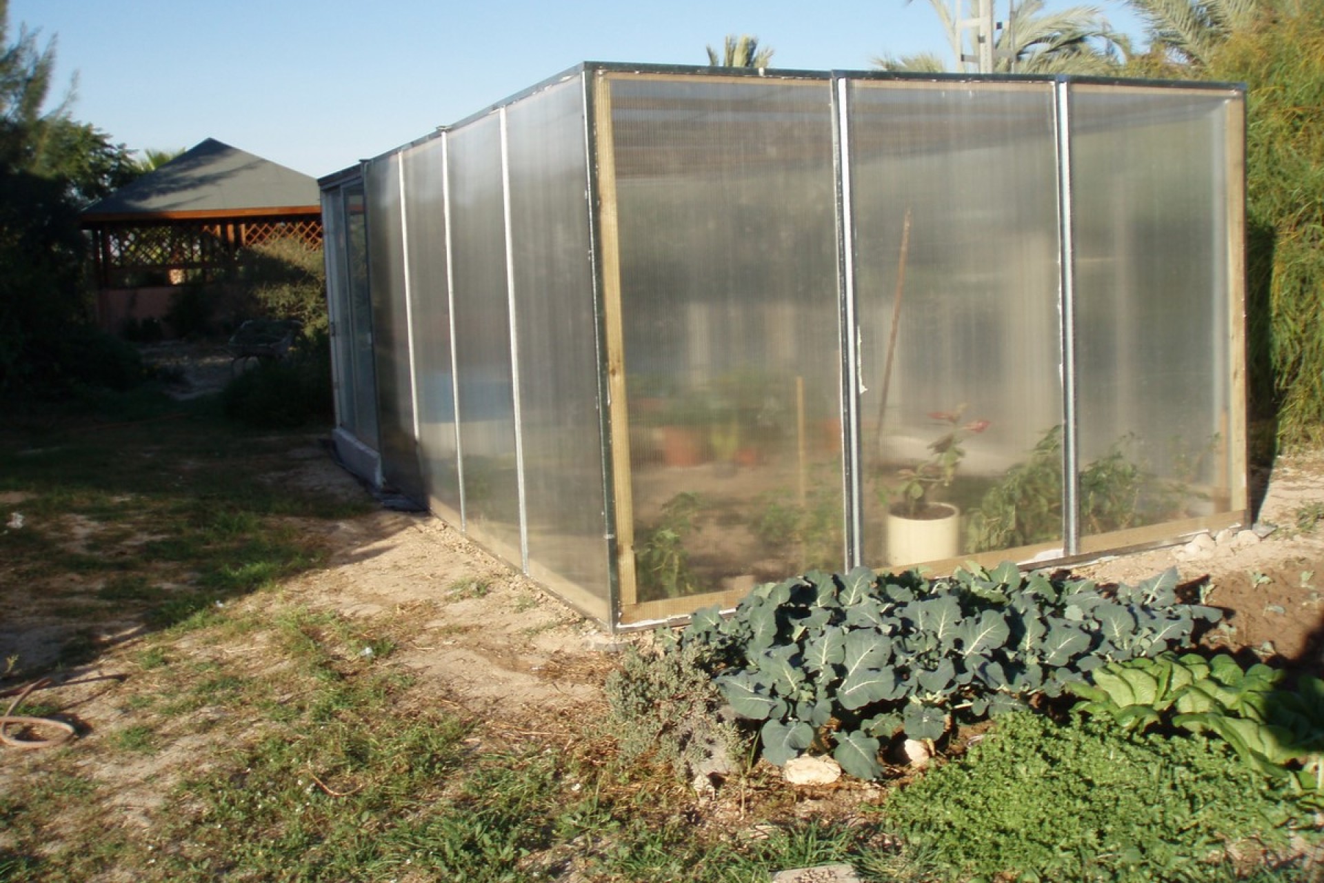 Sale - Villa - Catral