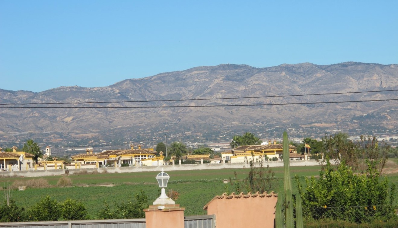 Sale - Villa - Catral