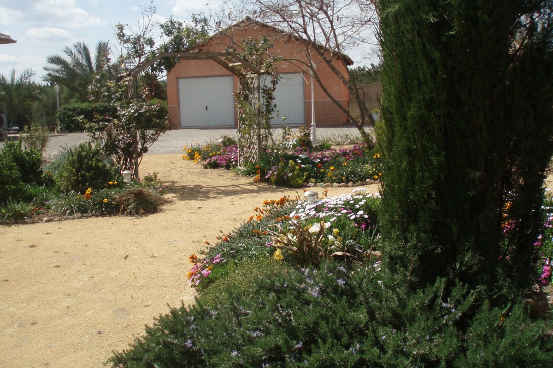 Sale - Villa - Catral