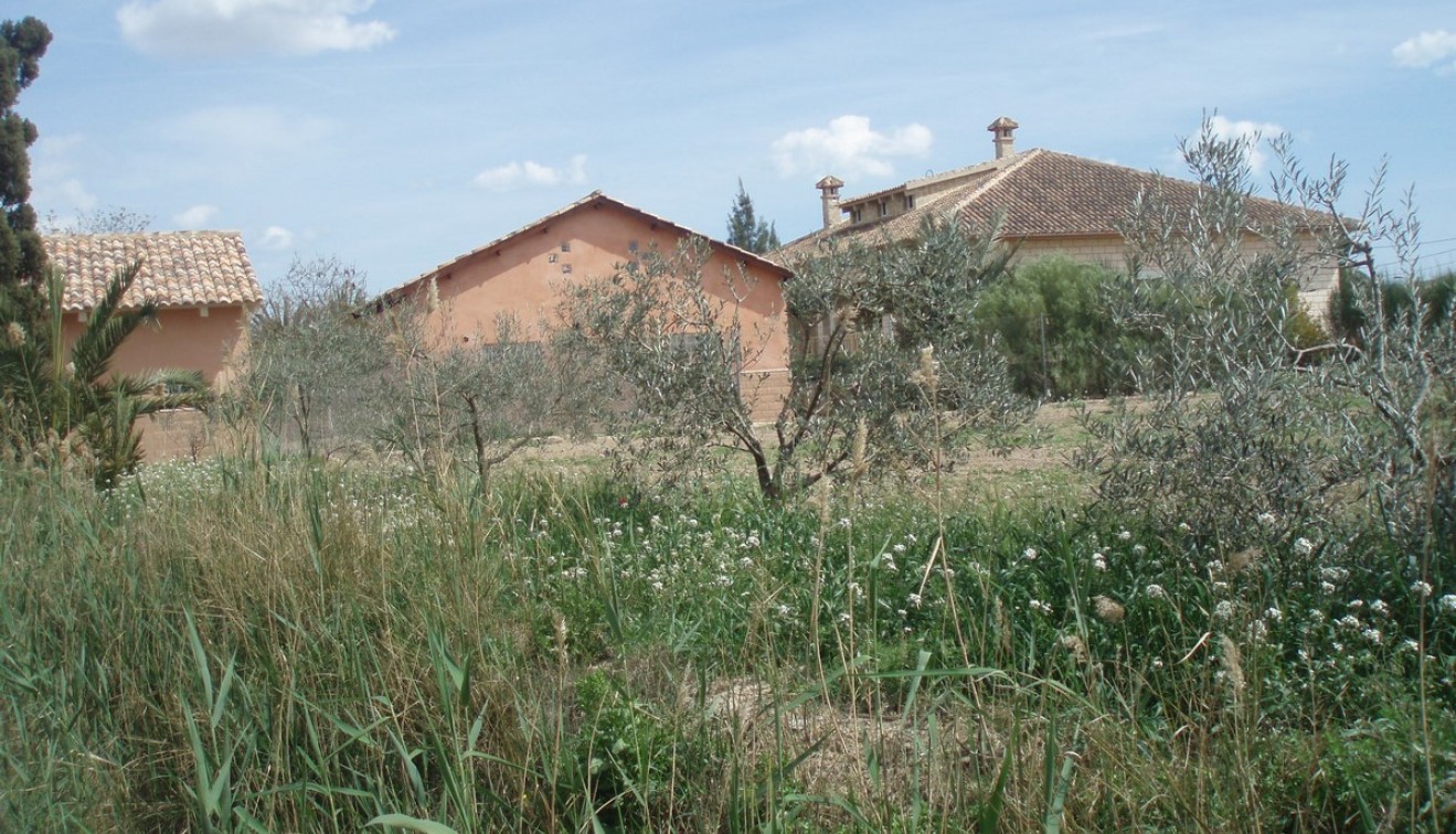 Sale - Villa - Catral