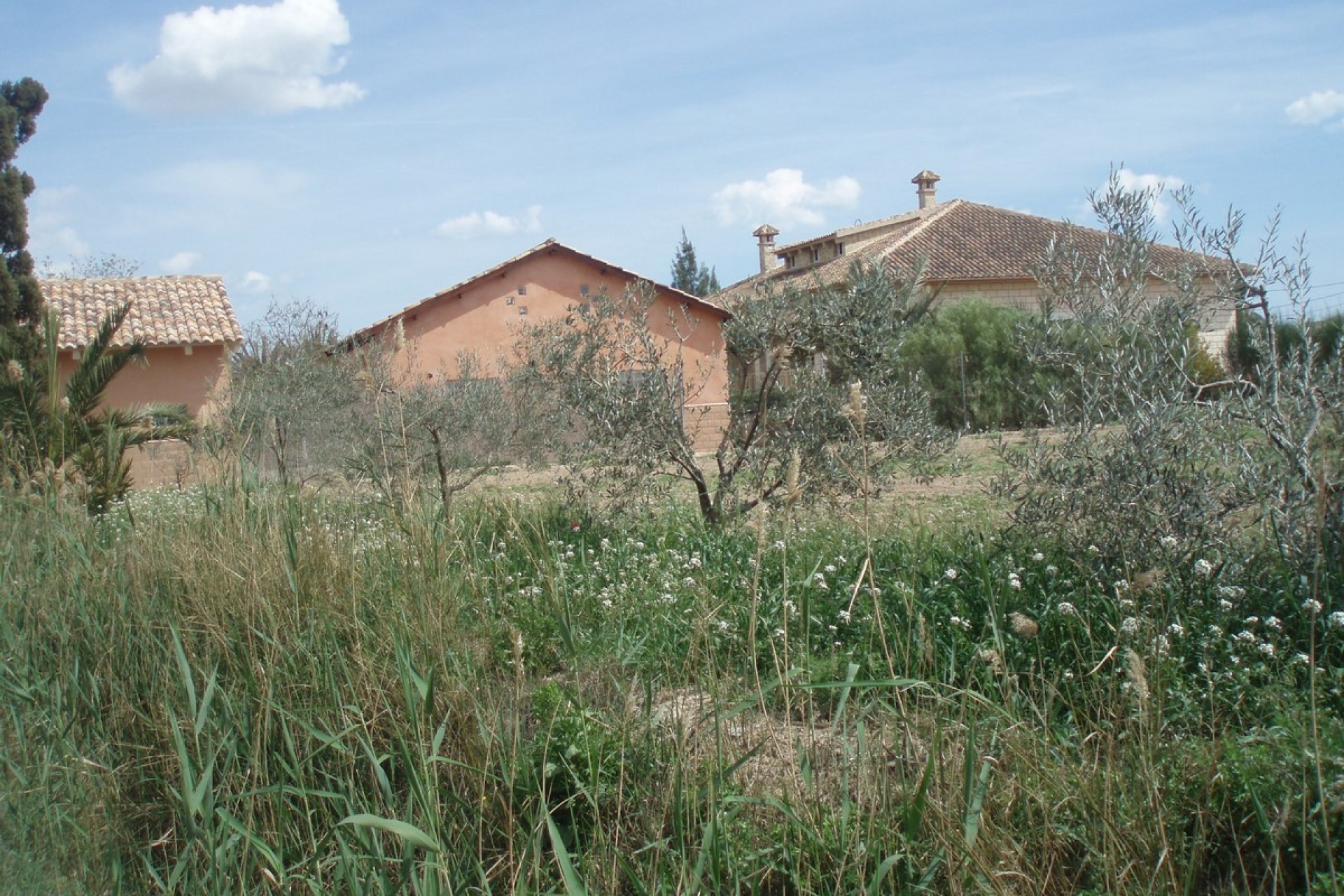 Sale - Villa - Catral