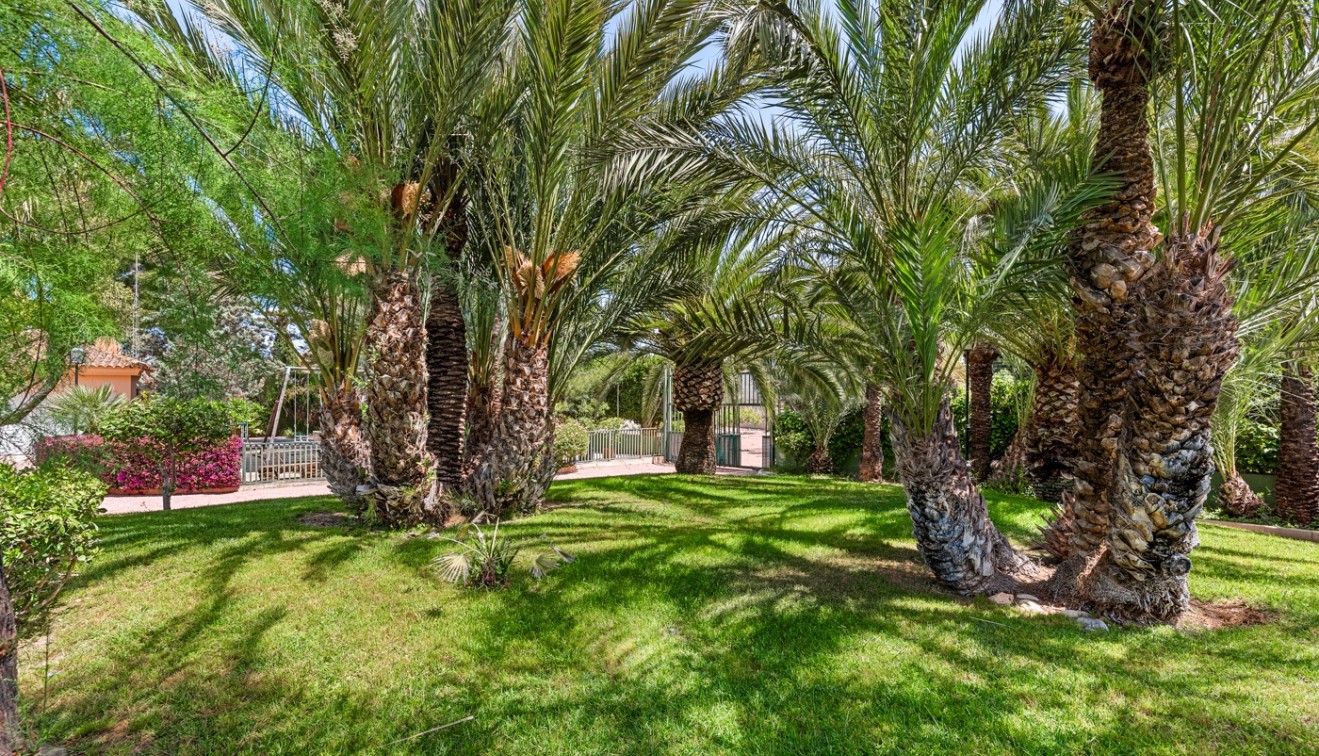 Sale - Villa - Elche/Elx