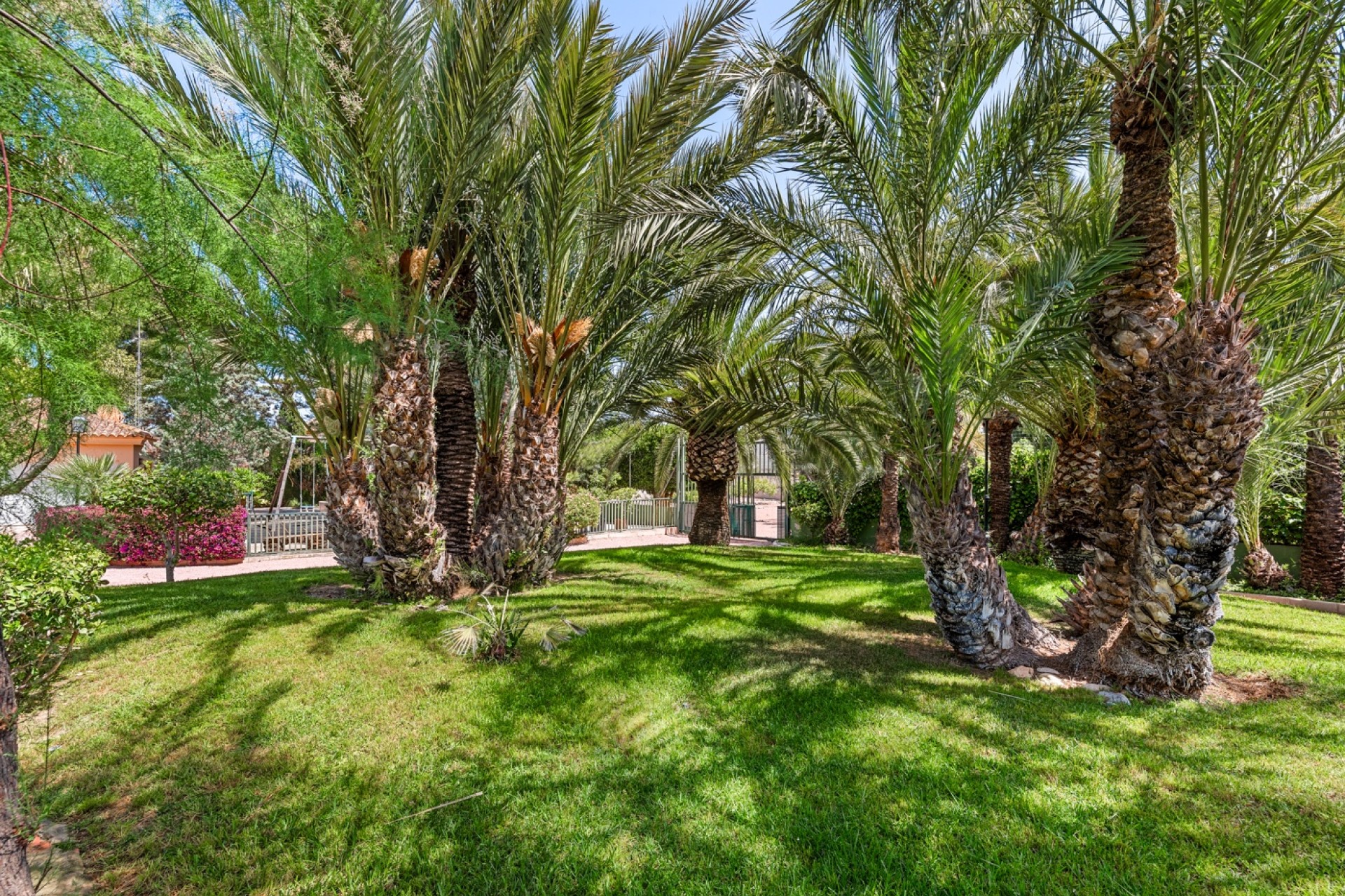 Sale - Villa - Elche/Elx