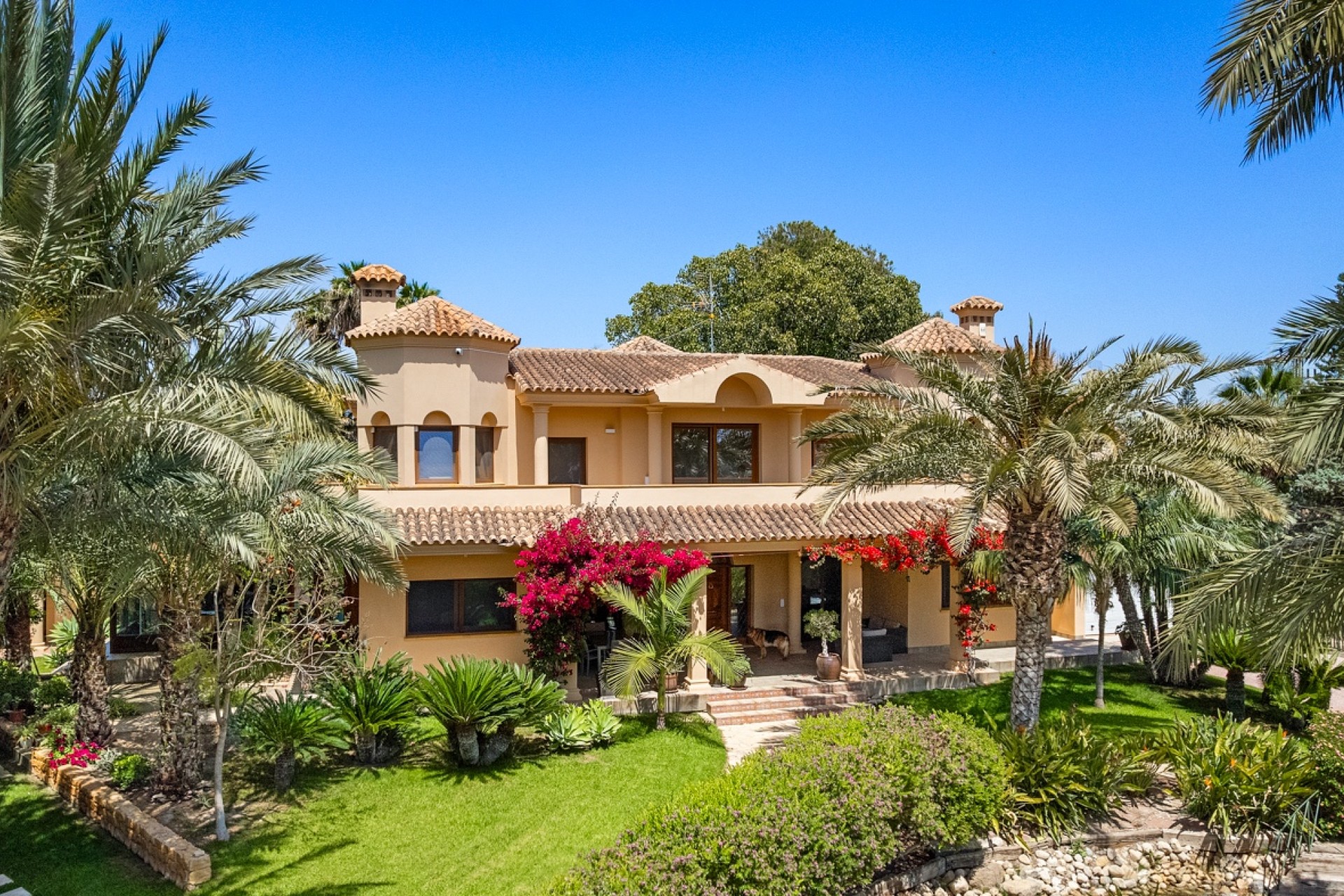 Sale - Villa - Elche/Elx