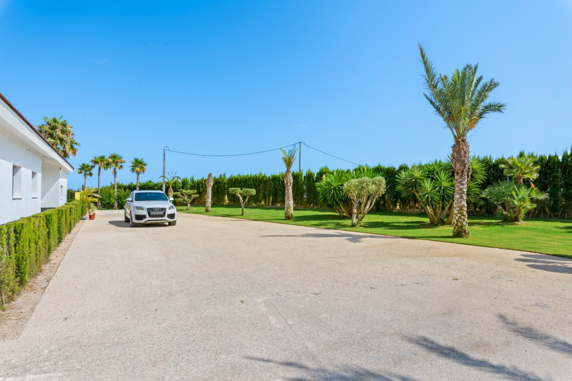 Sale - Villa - Elche/Elx