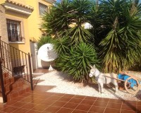 Sale - Villa - Lo Crispin