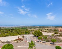 Sale - Villa - San Miguel - San Miguel Salinas