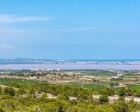 Sale - Villa - San Miguel - San Miguel Salinas