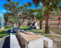 Sprzedaż - Apartament - Arenales del Sol - Segunda linea playa