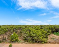 Sprzedaż - Apartament - Guardamar del Segura