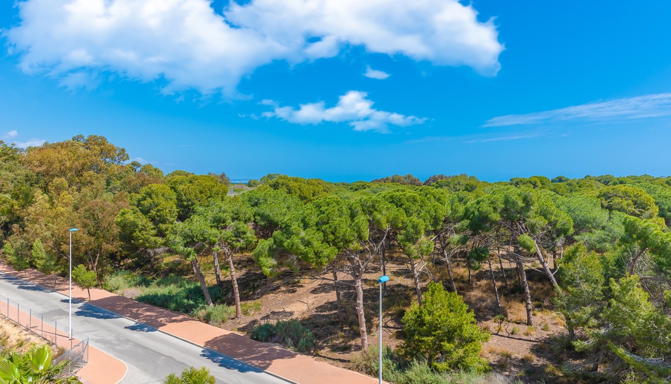 Sprzedaż - Apartament - Guardamar del Segura