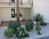 Sprzedaż - Apartament - Monforte del Cid - Font del Llop