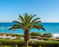 Sprzedaż - Apartament - Orihuela costa - Mil Palmeras