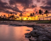 Sprzedaż - Apartament - Punta Prima