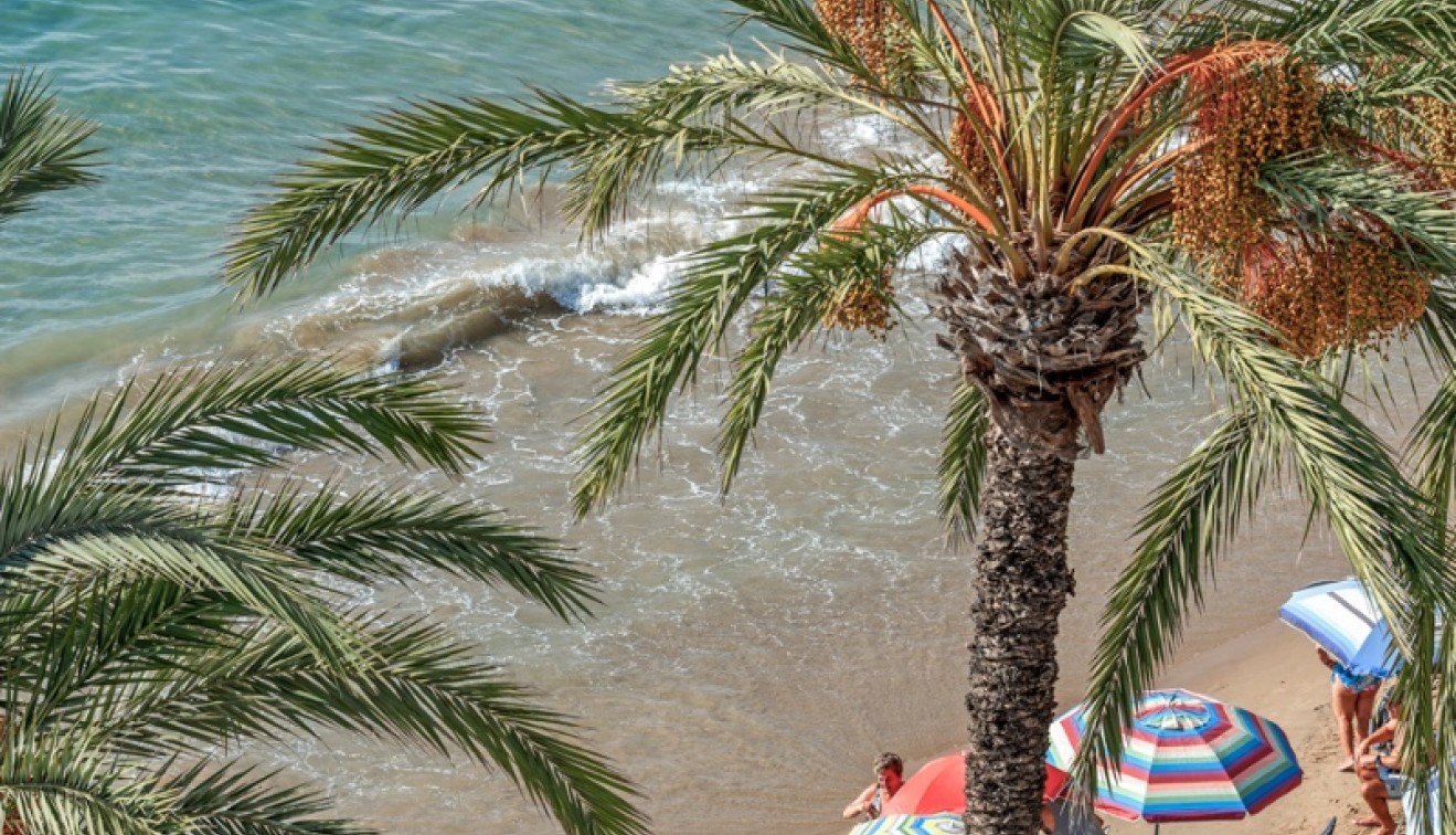 Sprzedaż - Apartament - Torrevieja