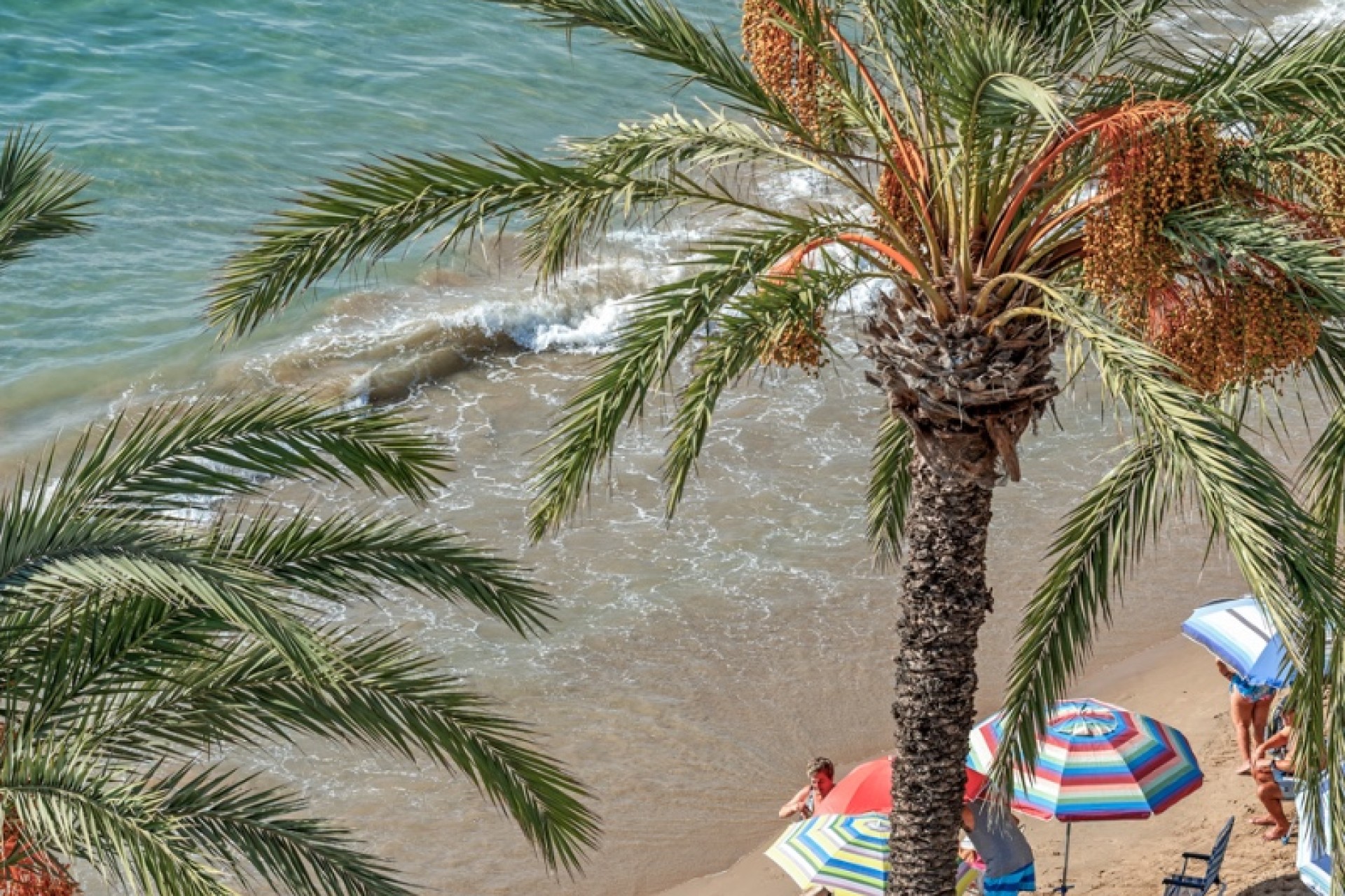 Sprzedaż - Apartament - Torrevieja