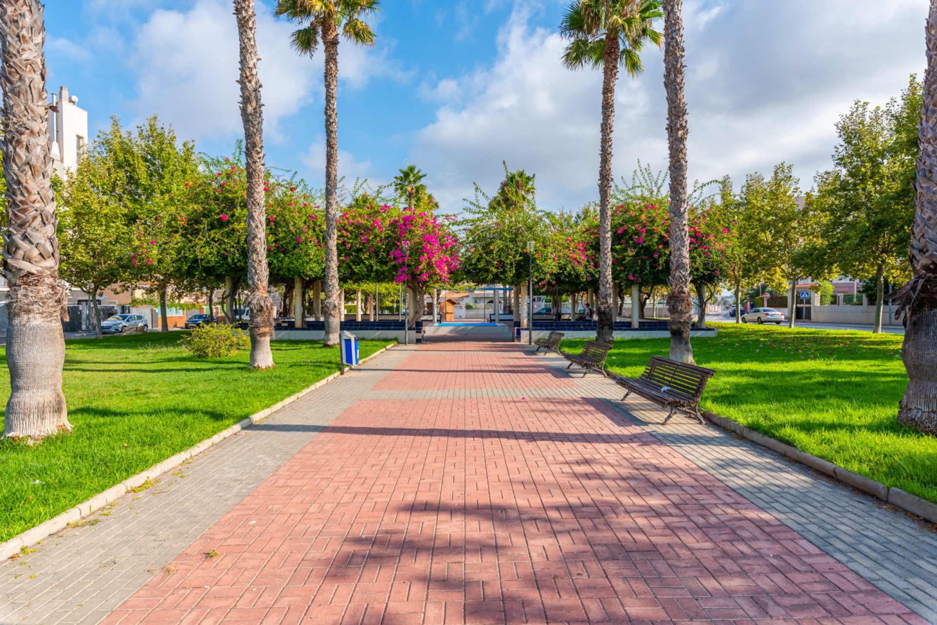 Sprzedaż - Apartament - Torrevieja