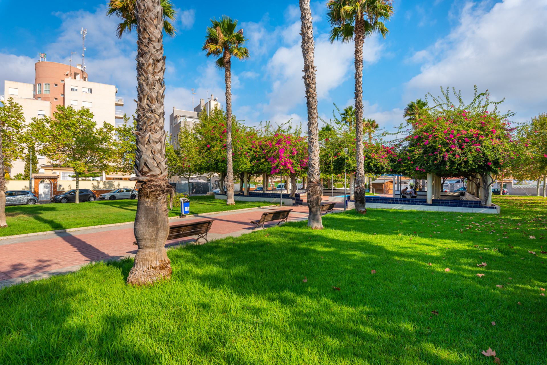 Sprzedaż - Apartament - Torrevieja