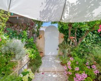 Sprzedaż - Bungalow - Ciudad Quesada - Rojales