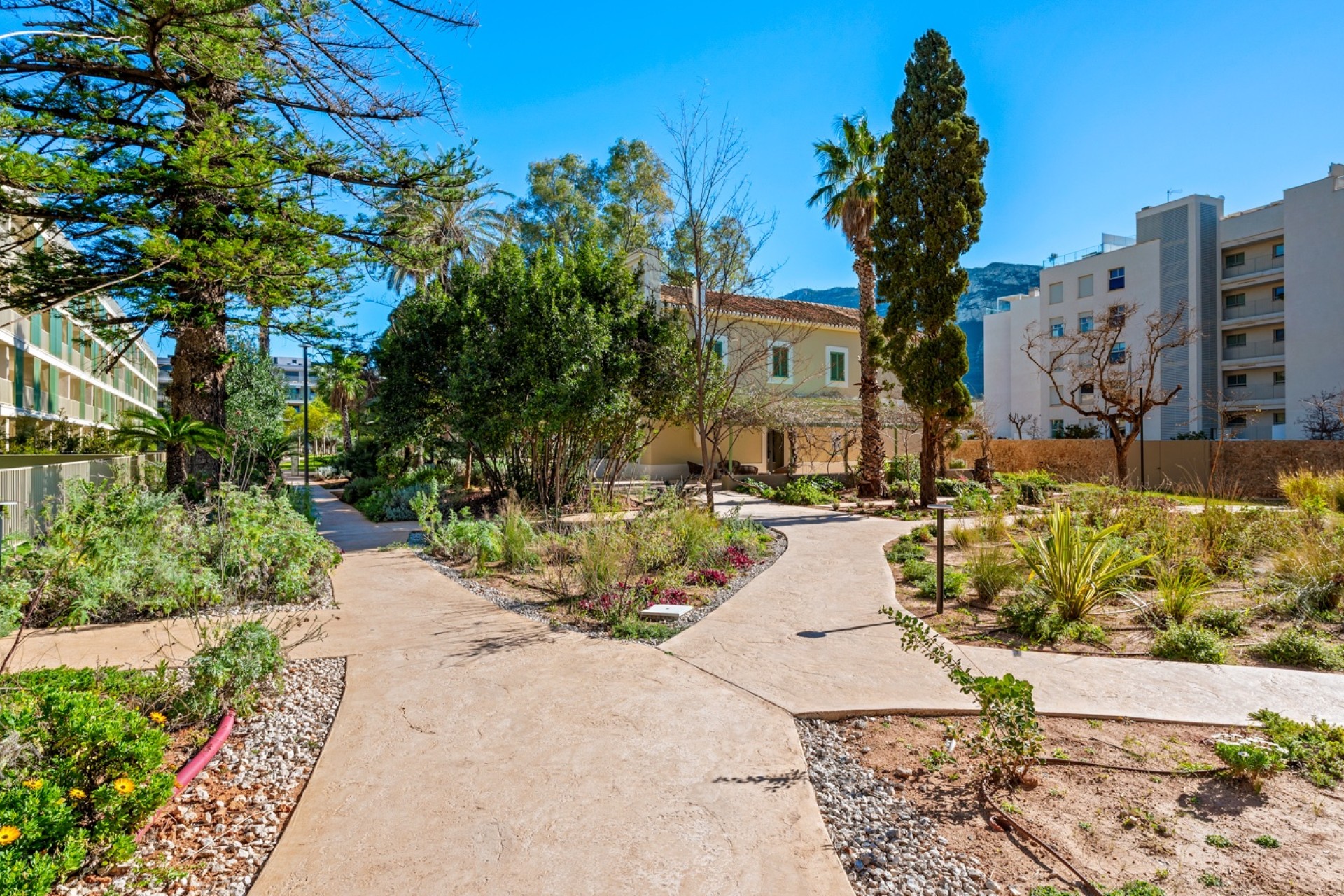 Sprzedaż - Penthouse - Denia - Puerto