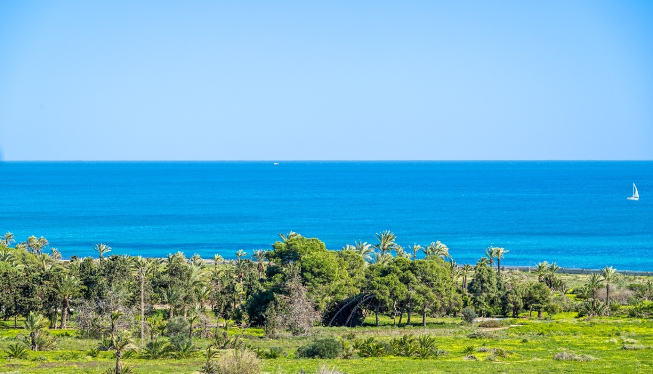 Sprzedaż - Penthouse - Orihuela costa - Punta Prima