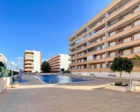 Sprzedaż - Penthouse - Orihuela costa - Punta Prima