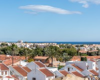 Sprzedaż - Penthouse - Torrevieja