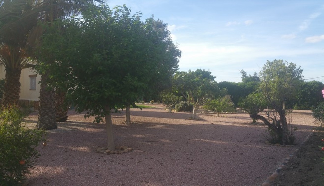 Sprzedaż - Posiadłość wiejska - Daya Vieja