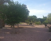 Sprzedaż - Posiadłość wiejska - Daya Vieja