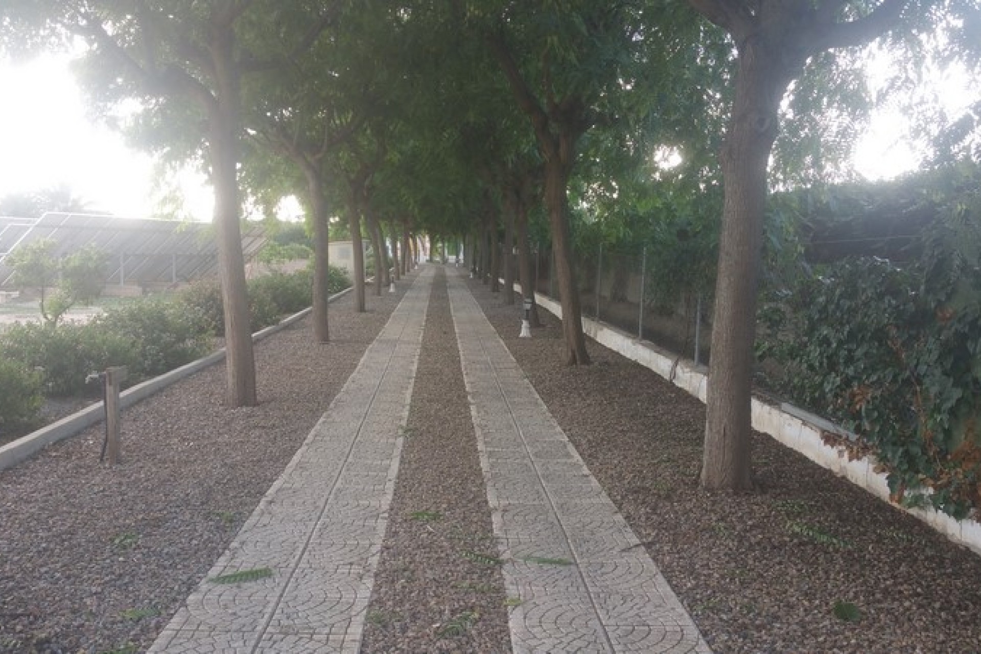 Sprzedaż - Posiadłość wiejska - Daya Vieja