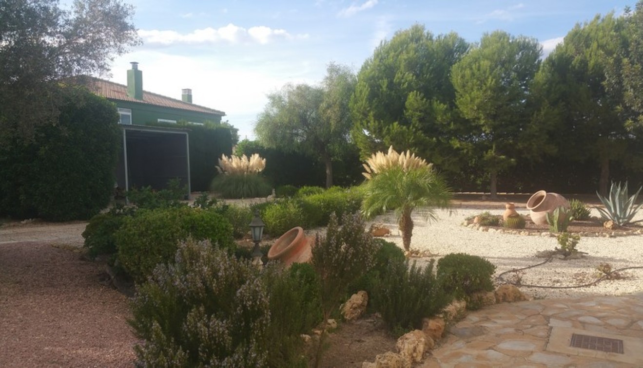 Sprzedaż - Posiadłość wiejska - Daya Vieja