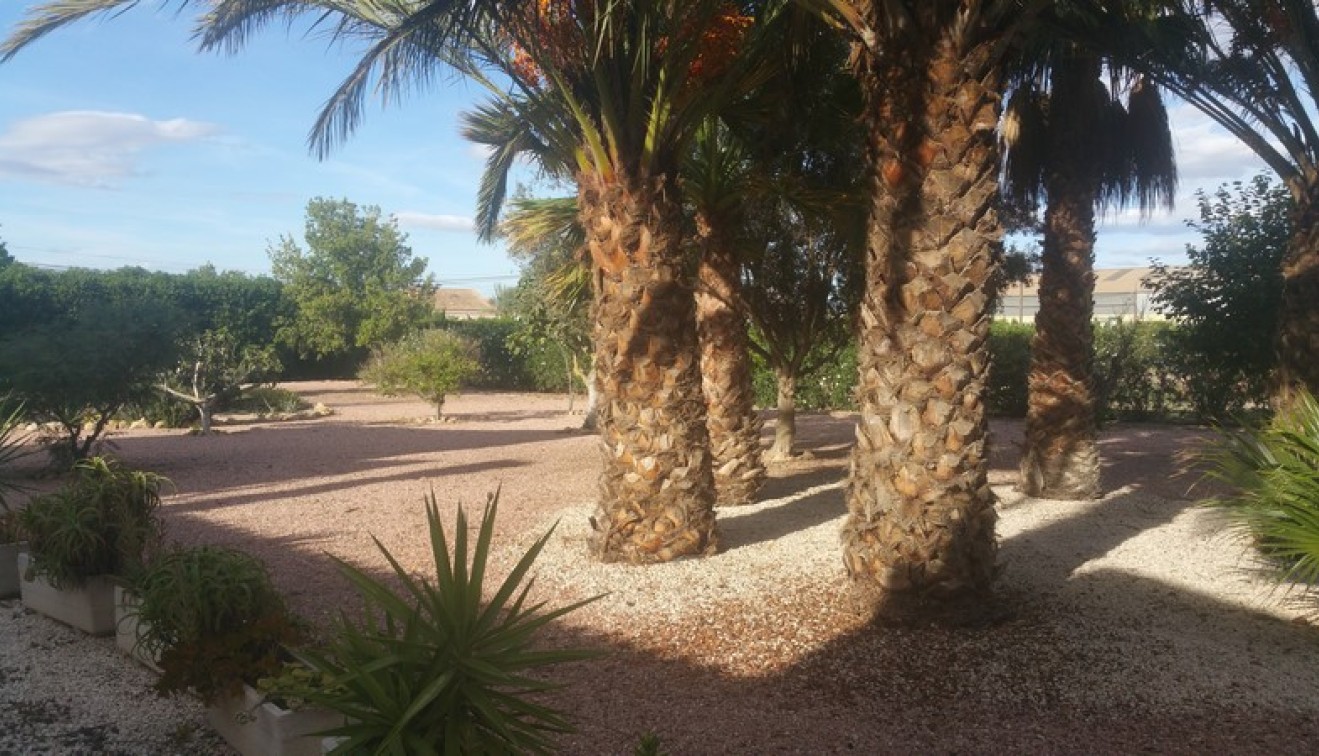 Sprzedaż - Posiadłość wiejska - Daya Vieja