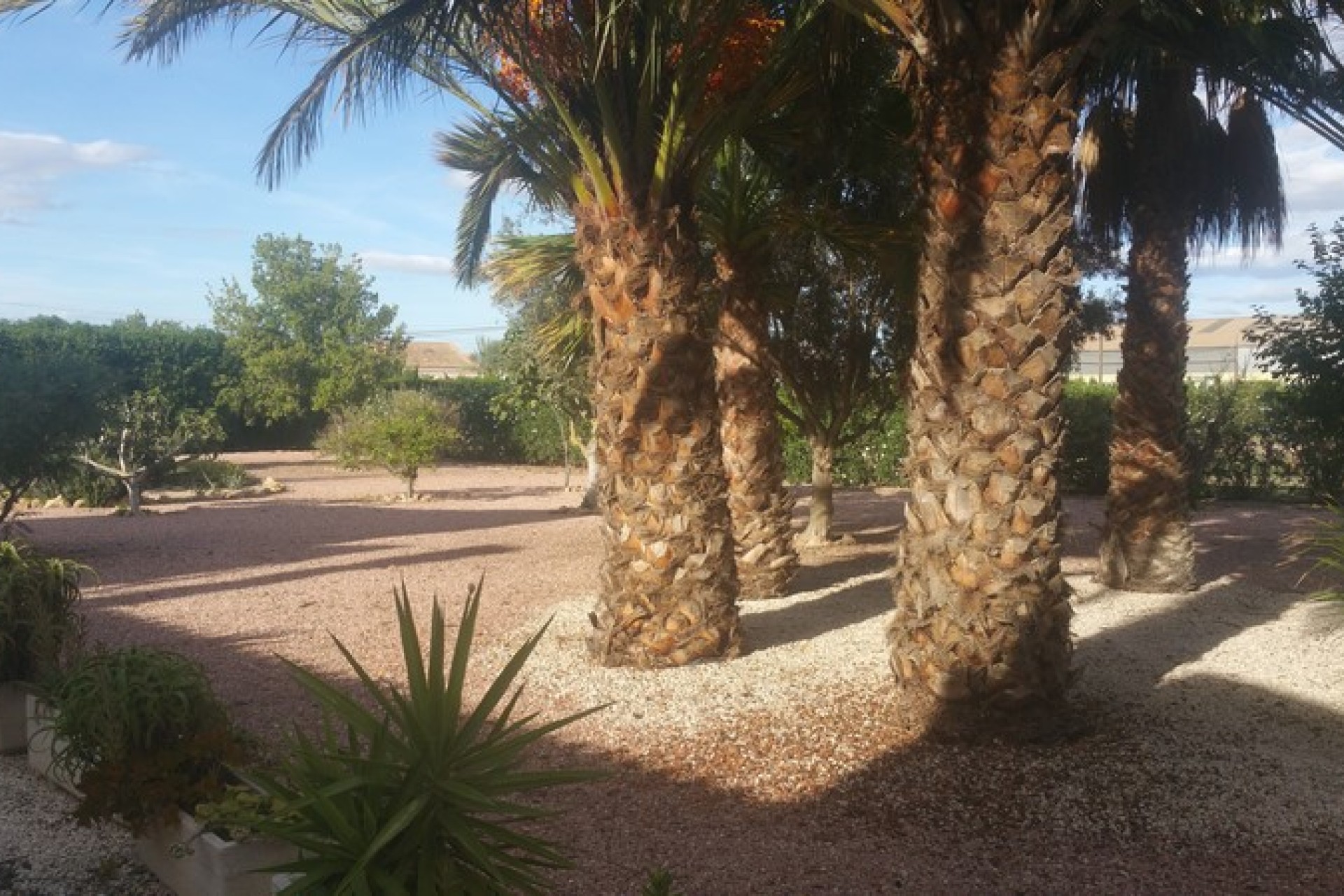 Sprzedaż - Posiadłość wiejska - Daya Vieja