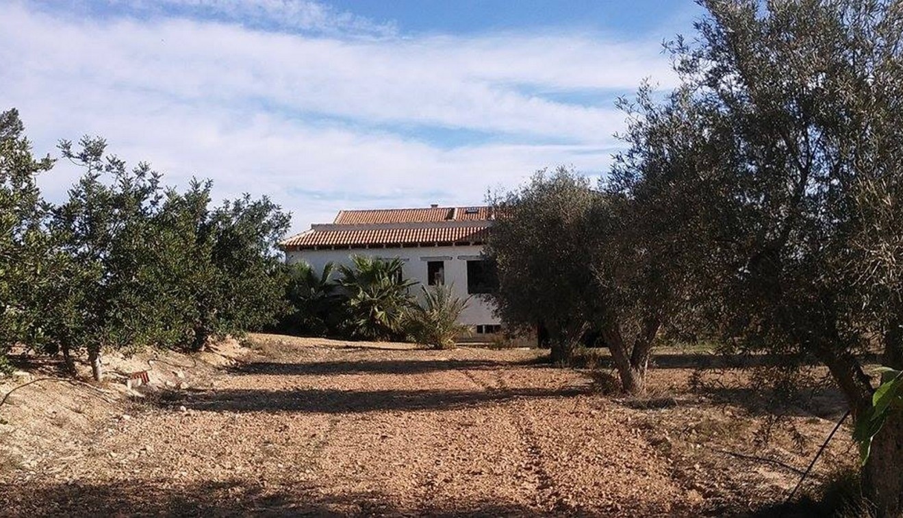 Sprzedaż - Posiadłość wiejska - Guardamar del Segura