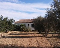 Sprzedaż - Posiadłość wiejska - Guardamar del Segura