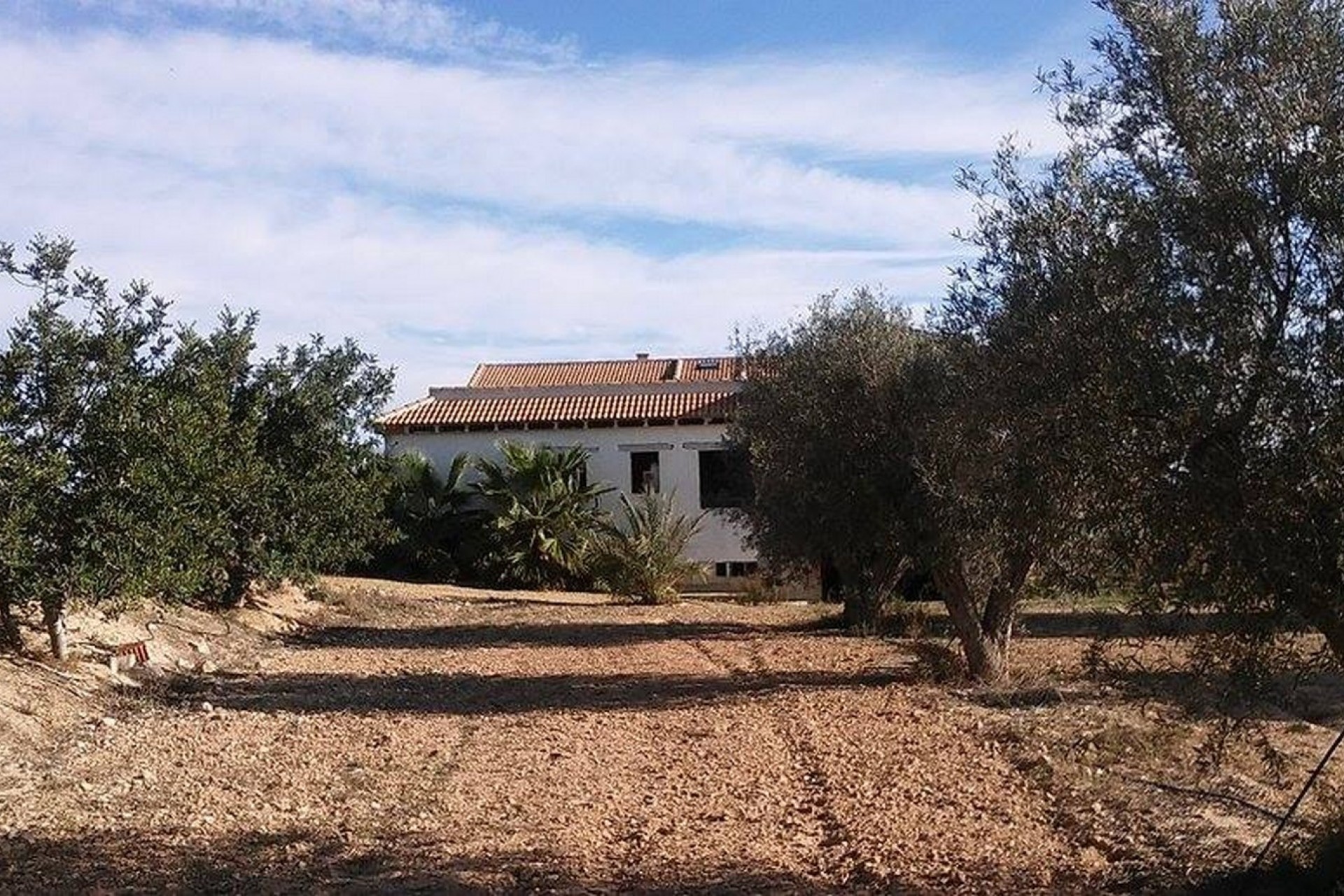 Sprzedaż - Posiadłość wiejska - Guardamar del Segura